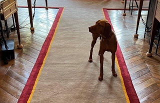 Tapis laine sur mesure
